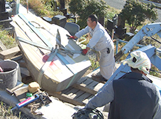 ����̎��