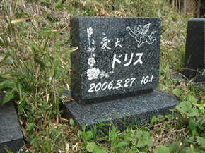 ���ԂȂǂ̒���