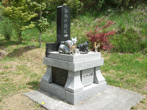 �y�b�g�̋��{��