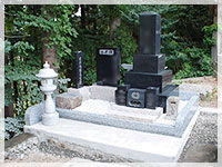 �V�K�O��H��6 after