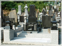 �V�K�O��H��7 after